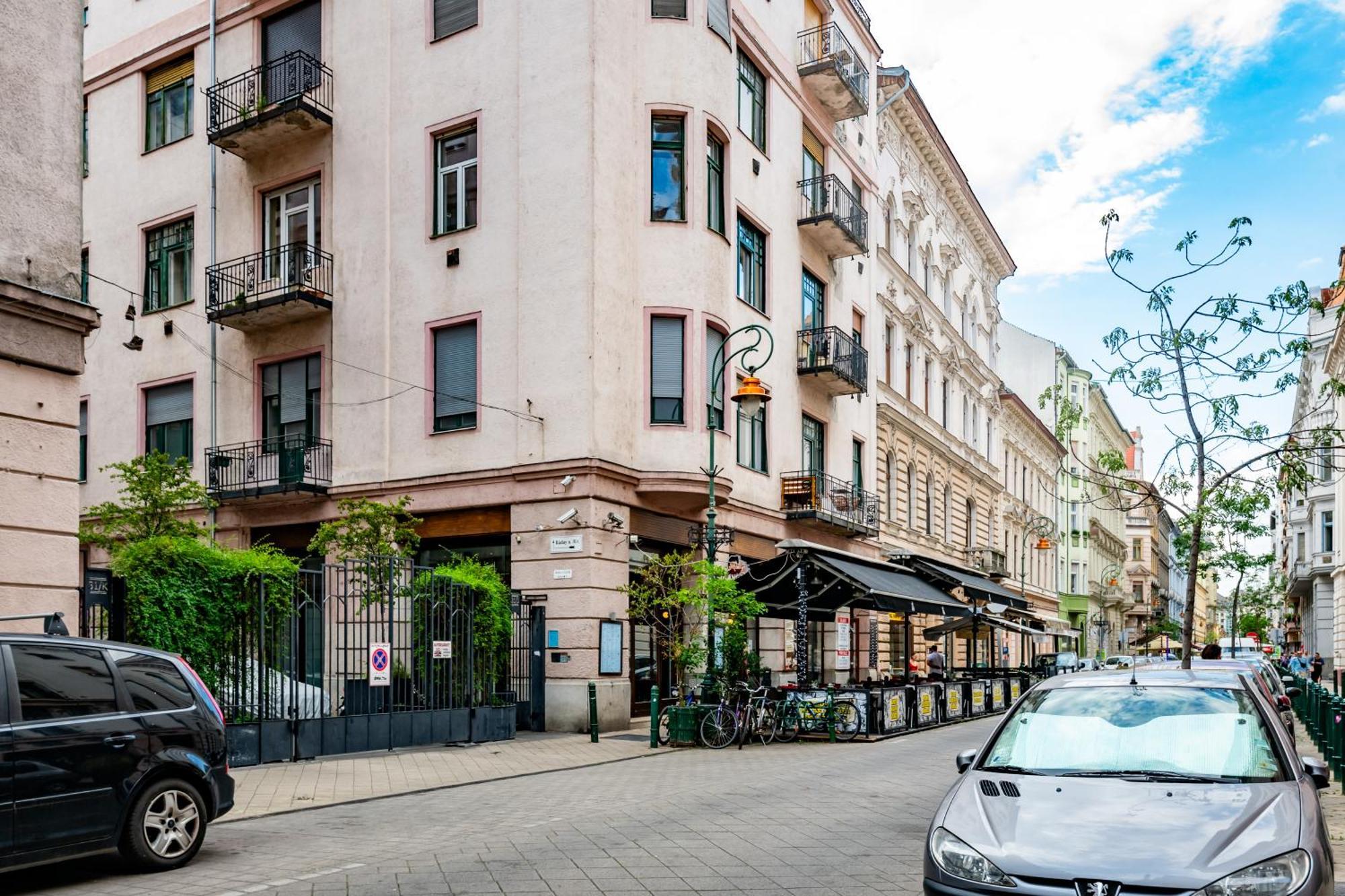Jungle Aesthetics Downtown Apartman Aircon And Garage Parking Budapešť Exteriér fotografie