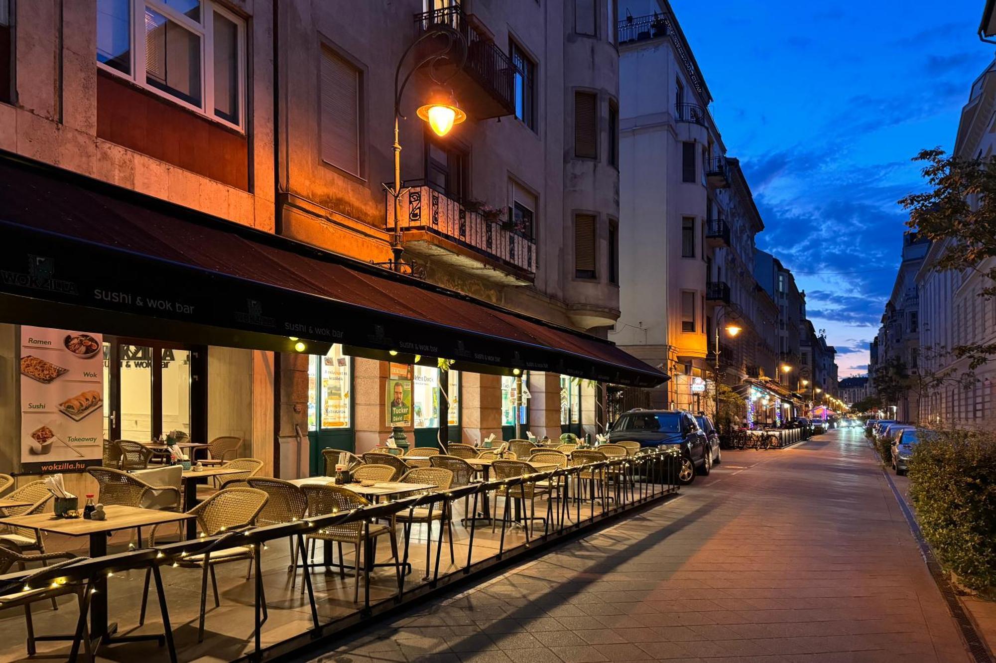 Jungle Aesthetics Downtown Apartman Aircon And Garage Parking Budapešť Exteriér fotografie
